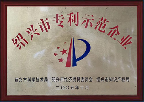 2005年榮獲紹興市專利示范企業(yè).jpg